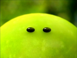 خیلی خیلی کوچک (1) (کرم ابریشم و رودخانه)